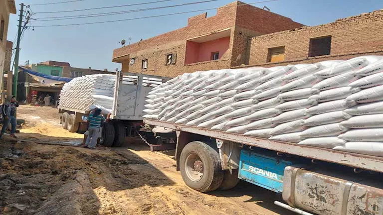 محافظ الجيزة يشدد على متابعة توزيع الأسمدة المدعمة وضبط المنظومة الزراعية