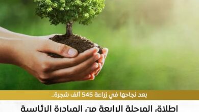 إطلاق المرحلة الرابعة من مبادرة «100 مليون شجرة» لزيادة الغطاء الأخضر وتحسين جودة الهواء