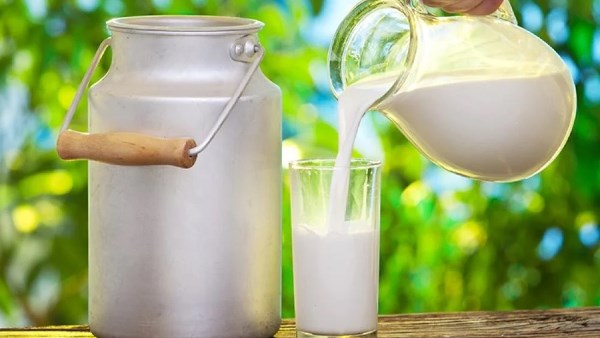 الزراعة الخلوية تفتح آفاقًا جديدة لإنتاج الحليب دون أبقار.. باحثة مصرية تكشف التفاصيل