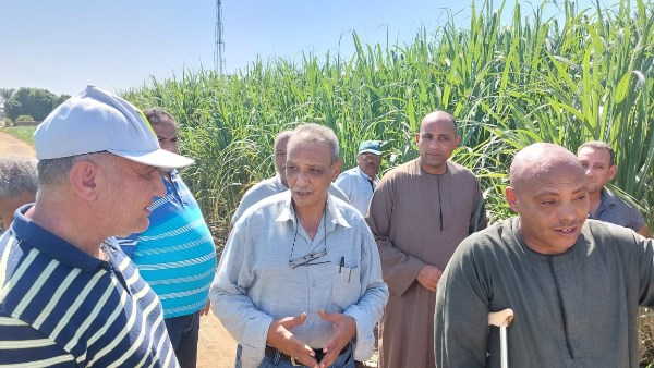 جولة موسعة لمكافحة الآفات بالأقصر استعدادًا للموسم الزراعي الشتوي