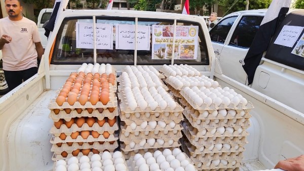 الزراعة: إزالة 144 حالة تعدٍ خلال سبتمبر وتوفير بيض المائدة بأسعار مخفضة