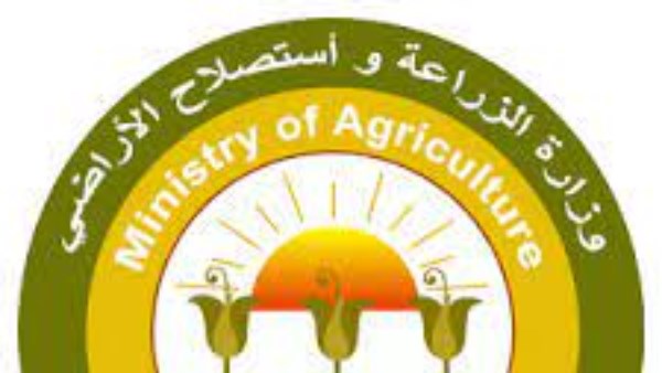 الخريف المتلون يضرب مصر.. الزراعة تحذر المزارعين من أضرار التقلبات الجوية على المحاصيل