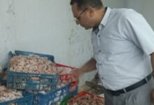التحفظ على 350 كيلو لحوم ودواجن وأسماك فاسدة في الغربية