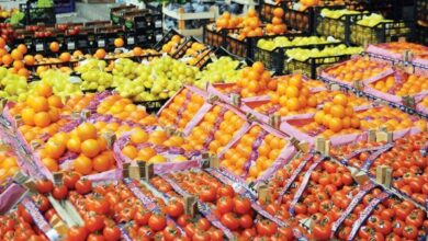 مصر تحقق قفزة قياسية في الصادرات الزراعية لتصل إلى 7.5 مليون طن