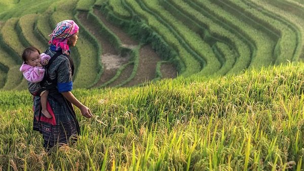 مصر والسودان تبحثان تعزيز التعاون الزراعي لتحقيق الأمن الغذائي والتكامل الإقليمي