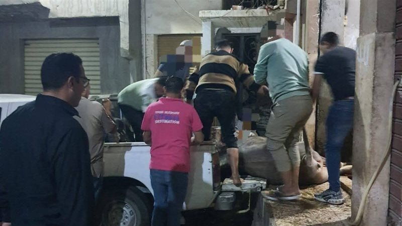 حملة مكبرة بالمنوفية لضبط الذبح خارج المجازر ومصنع مستحضرات طبية مغشوشة بشبين الكوم