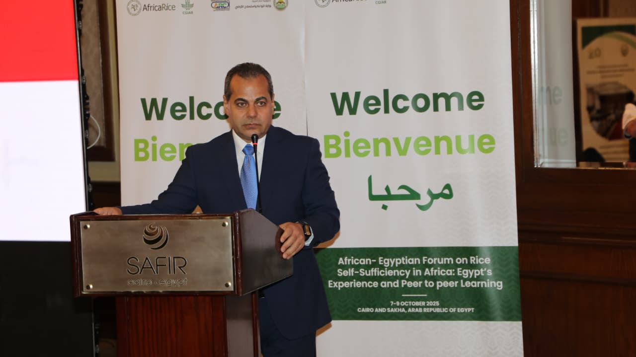 د سعد موسي وكيل مركز البحوث الزراعية