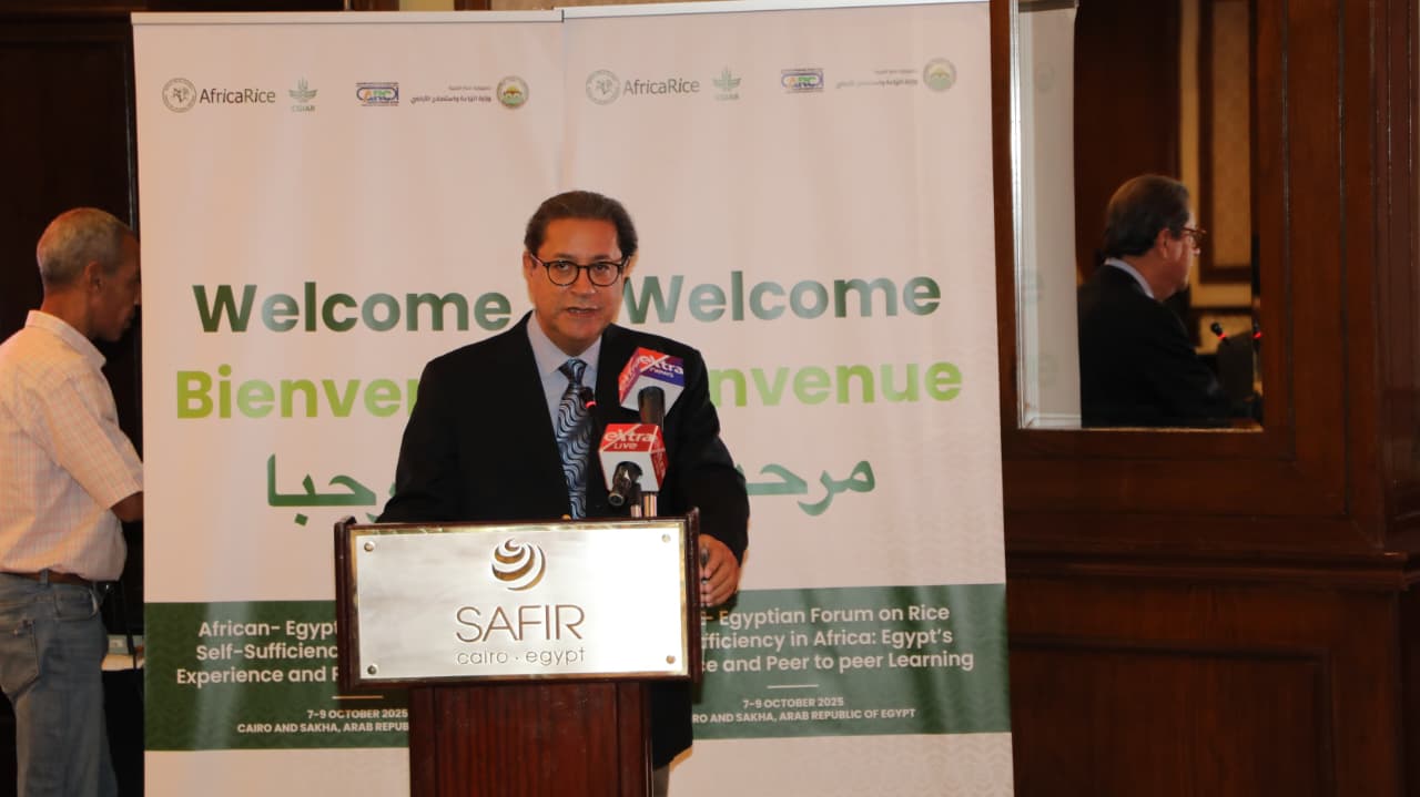 المهندس علي أبوسبع مدير عام إيكاردا