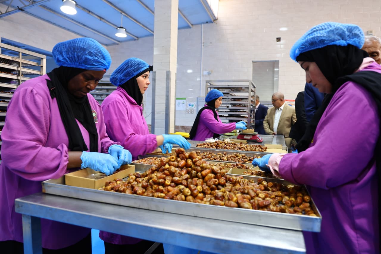 مجمع التمور في الوادي الجديد