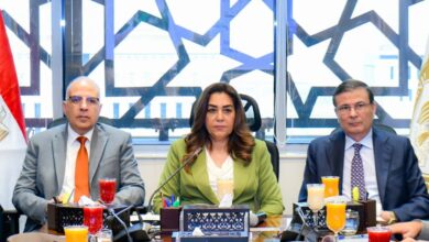 وزراء الزراعة والبيئة والري يبحثون تأثير المناخ علي الأمن الغذائي