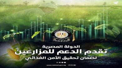 الدولة المصرية تواصل دعم المزارعين لضمان الأمن الغذائي