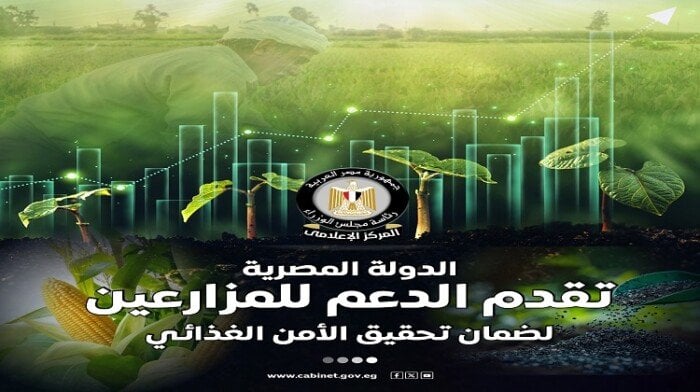 الدولة المصرية تواصل دعم المزارعين لضمان الأمن الغذائي
