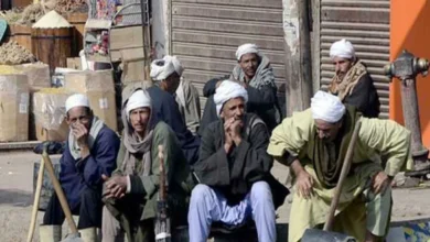 لينك الاستعلام عن منحة العمالة الغير منتظمة بالرقم القومي 2025