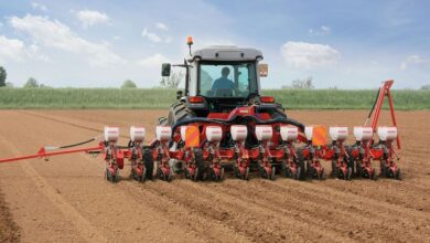 الطقس الأوروبي يدعم المحاصيل الشتوية رغم تحديات الرطوبة والجفاف