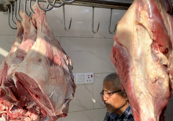 مشاريع جديدة لتربية العجول والأبقار في العراق لتعزيز إنتاج اللحوم الحمراء محليًا