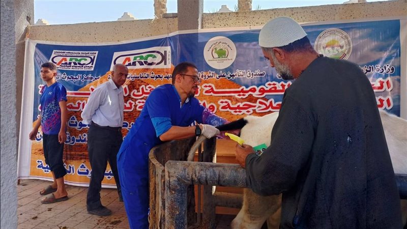 قافلة بيطرية بالبحيرة للتوعية بالتحصين والتأمين على الماشية ورفع المناعة