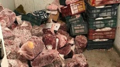 مصادرة 294 كيلو لحوم ودواجن وأسماك فاسدة في أسواق الغربية