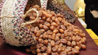 "النخيل ثروة قومية" مؤتمر دولى بالوادى الجديد ديسمبر المقبل