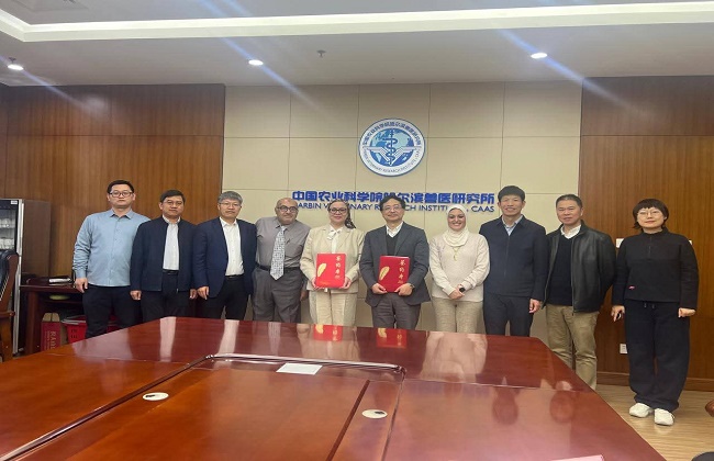 تعاون مصري صيني لثورة جديدة في تشخيص الأمراض الحيوانية وتوطين اللقاحات