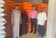 الزراعة: لجان متابعة فى 10 محافظات لضمان صرف الأسمدة للمستحقين