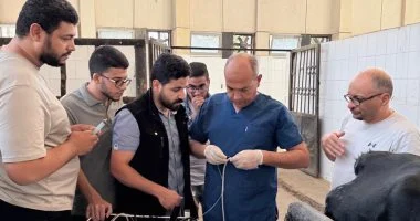 ‎تقنيات حديثة لتشخيص وعلاج المشاكل التناسلية فى الخيول وحيوانات المزرعة