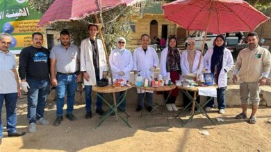 محافظة الجيزة تطلق قوافل بيطرية مجانية لرعاية الخيول والجمال بالأهرامات