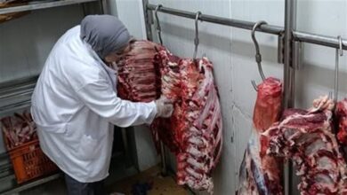 "الزراعة" تمنع تداول لحوم غير مطابقة للاشتراطات الصحية قبل طرحها بالأسواق