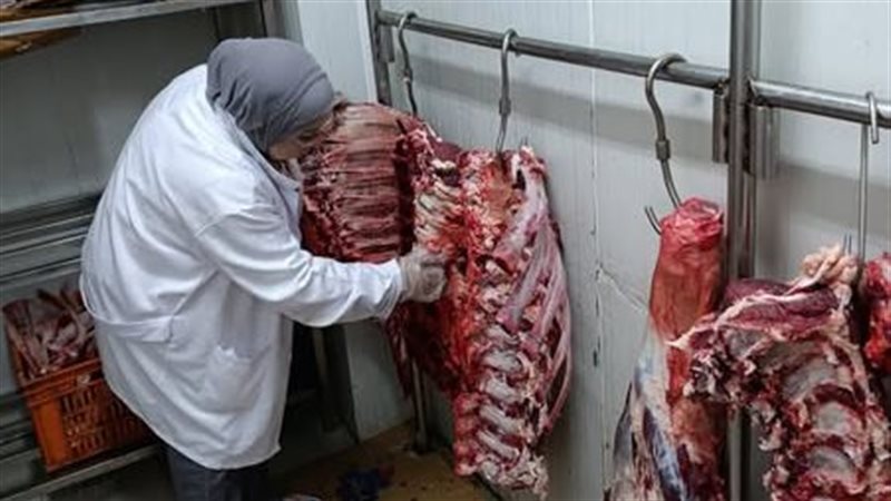 "الزراعة" تمنع تداول لحوم غير مطابقة للاشتراطات الصحية قبل طرحها بالأسواق