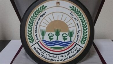 "الزراعة": التحول الرقمي وشراكة القطاع الخاص مفتاح تعزيز التنمية الزراعية بالبحيرة