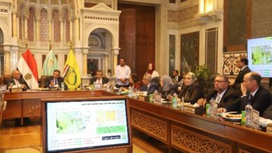 وزير الزراعة يترأس اجتماع مجلس بحوث الصحراء في الذكرى الـ75 لتأسيسه