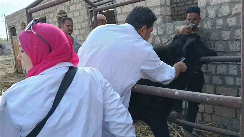 "الطب البيطري" يتابع الحالة الوبائية بسوق سمسطا للماشية وينفذ أعمال التحصين والتوعية