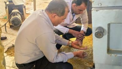 جهود وزارة الزراعة واستصلاح الأراضي في محافظات مصر خلال أسبوع 4-10 نوفمبر 2025