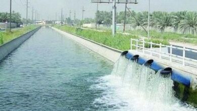 مصر تتعاون مع هولندا لتحلية مياه الصرف الزراعي ودعم الإنتاج الكثيف للغذاء