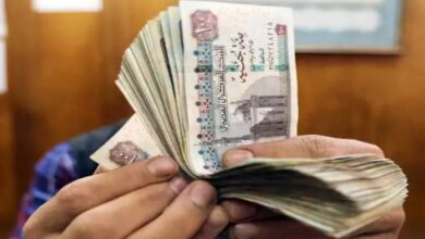 منحة العمالة غير المنتظمة
