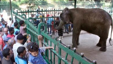 حديقة الحيوان