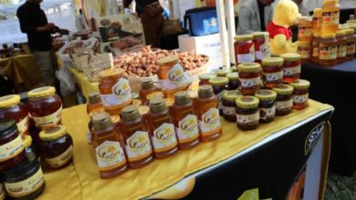 مهرجان العسل المصري 2025