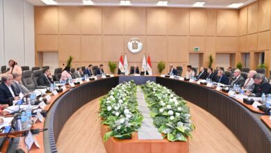 وزير الري يتراس إجتماع حماية الشواطئ