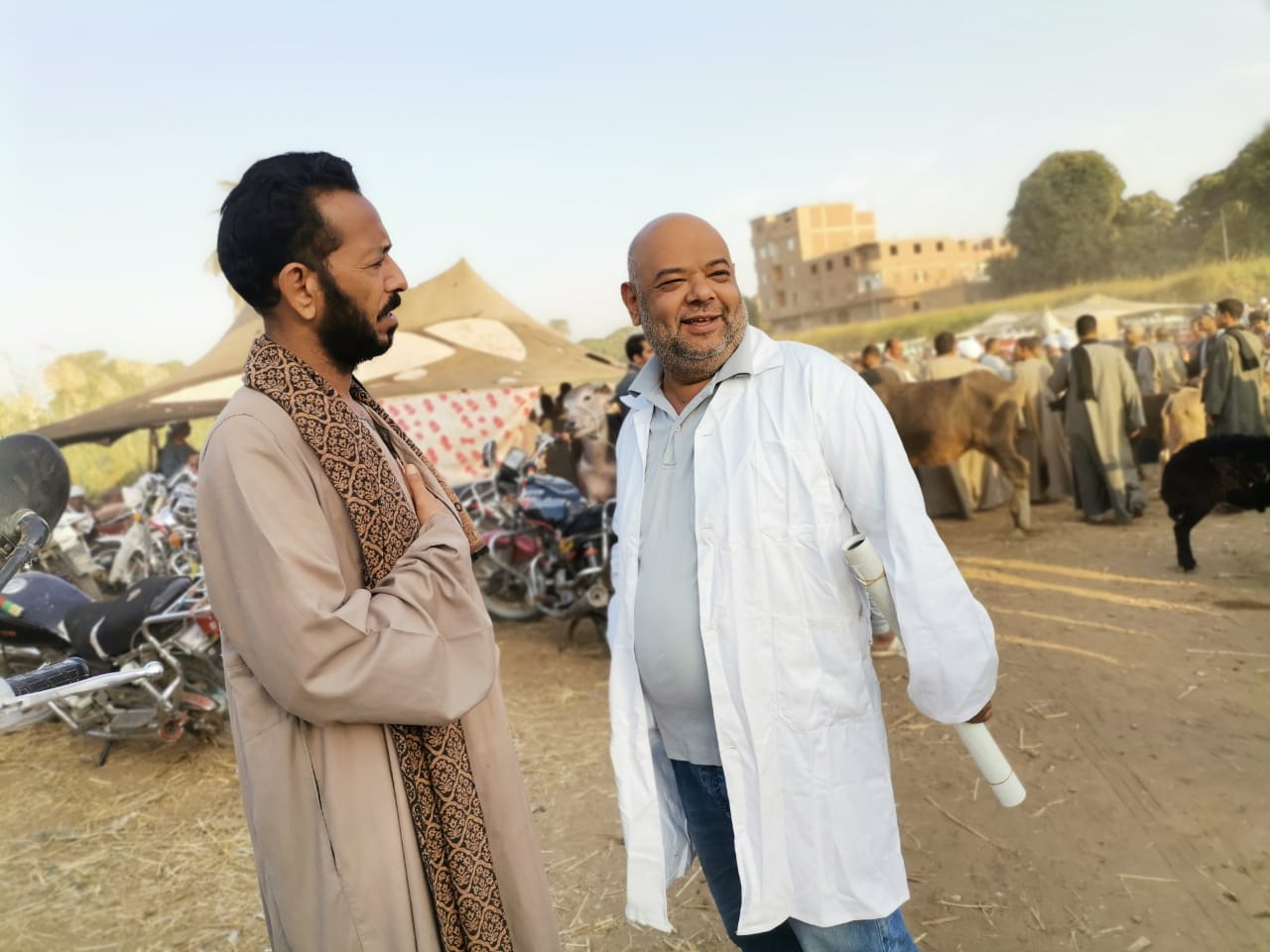 حملات بيطرية علي أسواق الماشية