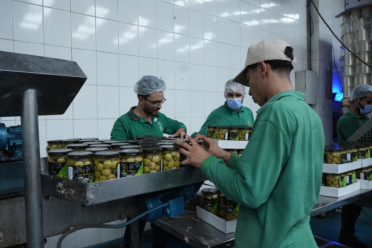 جودة المنتجات الغذائية في شركة نايل جاردن للصناعات الغدائية