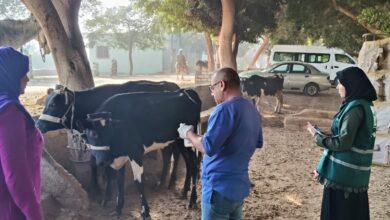 معهد النتاسليات الحيوانية ينظم قافلة بيطرية