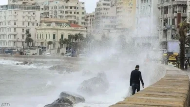 جدول نوات الإسكندرية 2025