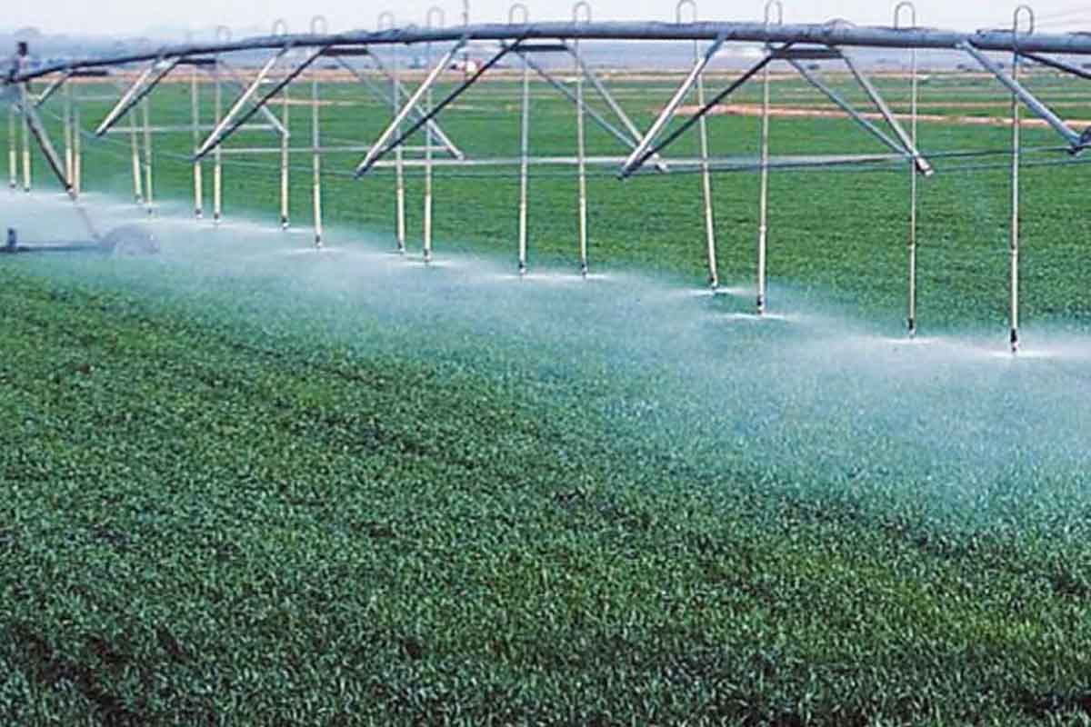 نائب يطالب بخطة وطنية لترشيد مياه الري والتحول إلى النظم الحديثة في الزراعة