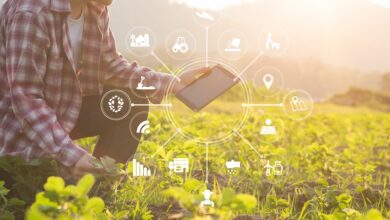 تأثير الرقمنة الزراعية على تحسين الإنتاجية الزراعية في مصر