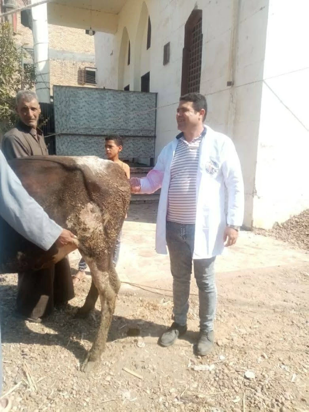 قطاعات الطب البيطرى بكفر الشيخ تعالج وتُشخّص حمل 3171 حالة خلال نوفمبر 2025