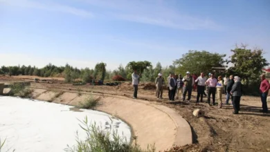 «الزراعة» و«اليونسكو» تختتمان زيارة ميدانية لدعم التنوع البيولوجي والزراعي بالوادي الجديد
