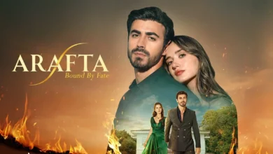 عدد حلقات مسلسل الأعراف التركي