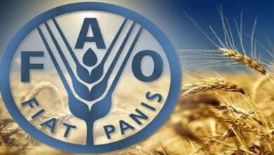 الفاو: مصر تقوم بإعادة تدوير الموارد المائية لتعظيم الاستفادة في الزراعة