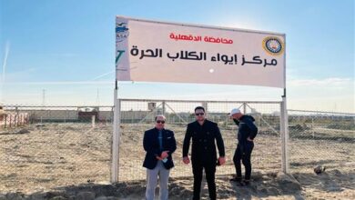 محافظة الدقهلية توفر مكان لايواء الكلاب الحرة واطعامها بمدينة جمصه