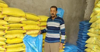 استلام وتوزيع تقاوى المرحلة الثانية من الحقول الإرشادية فى الفيوم