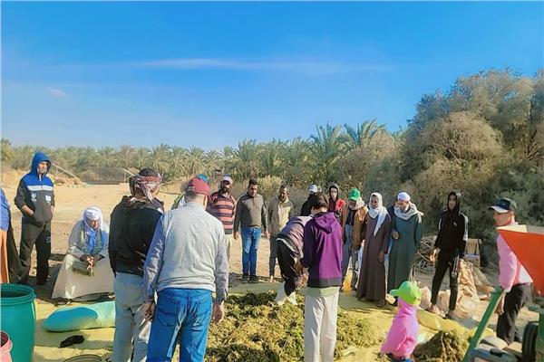 «بحوث الصحراء» يختتم ندوات إرشادية لدعم الزراعة في توشكي والوادي الجديد
